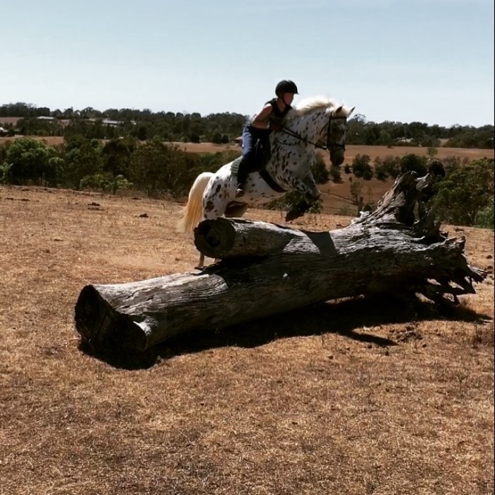 Anne, boerderijwerk Australië het werk is fantastisch 2