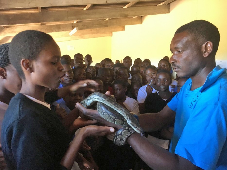 Vrijwilligerswerk in Zimbabwe slang