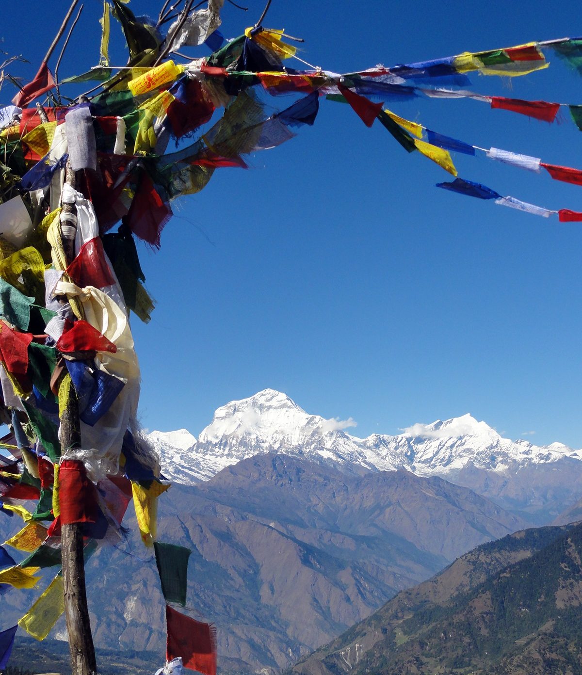 Vrijwilligerswerk Nepal - Poon Hill Trek