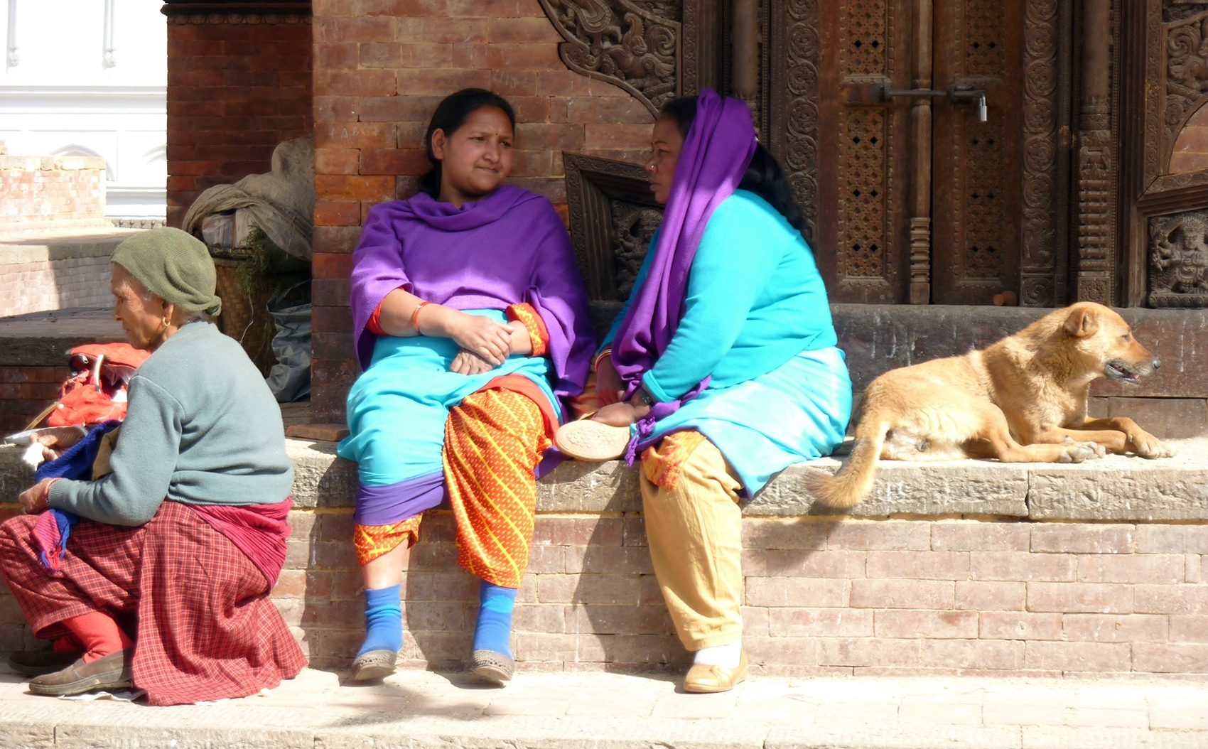 Vrijwilligerswerk Nepal - Werk met straathonden