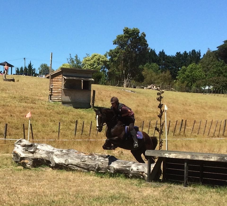 Werken met paarden in Nieuw-Zeeland, een aanrader volgens Sabine7