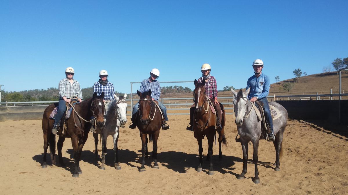 blog-boerderijwerk-australie-veulens-trainen3