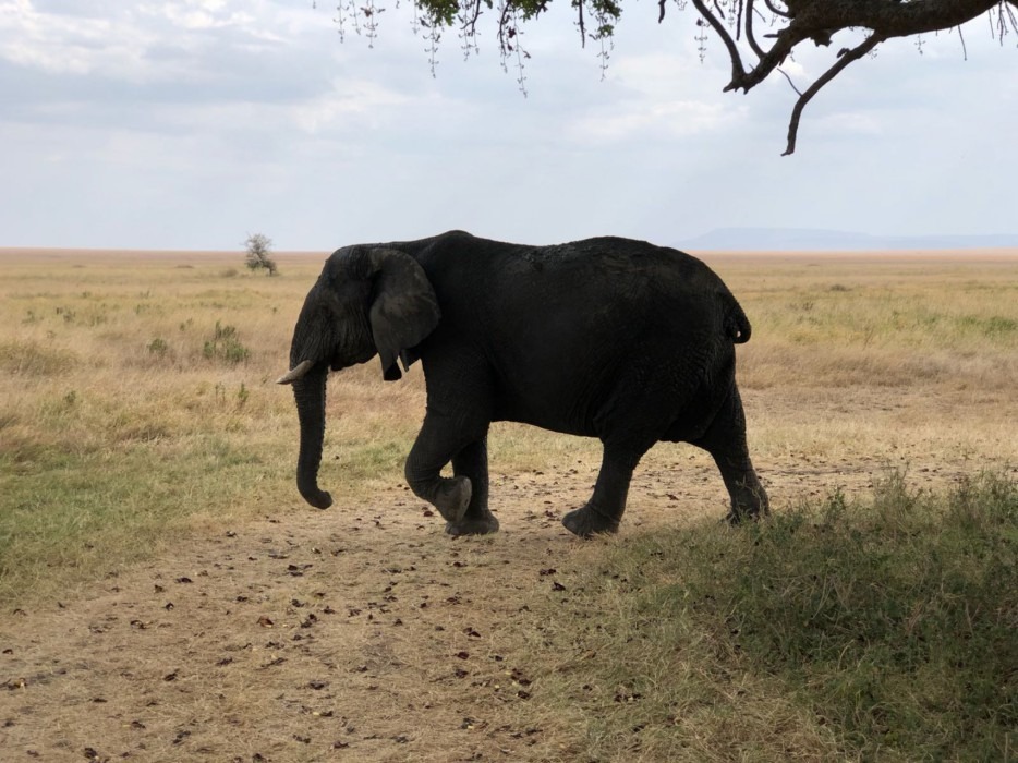 helen-en-celine-hebben-zich-4-weken-als-vrijwilliger-ingezet-een-ziekenhuis-tanzania-7