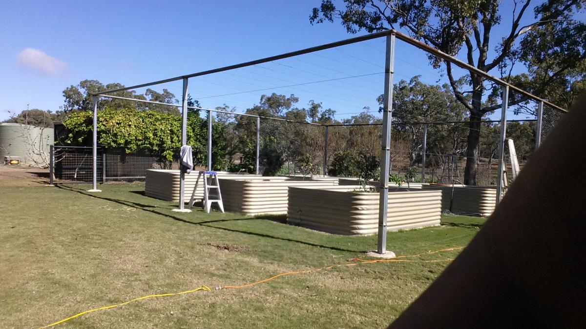 leonard-boerderijwerk-australie-paarden-trainen2