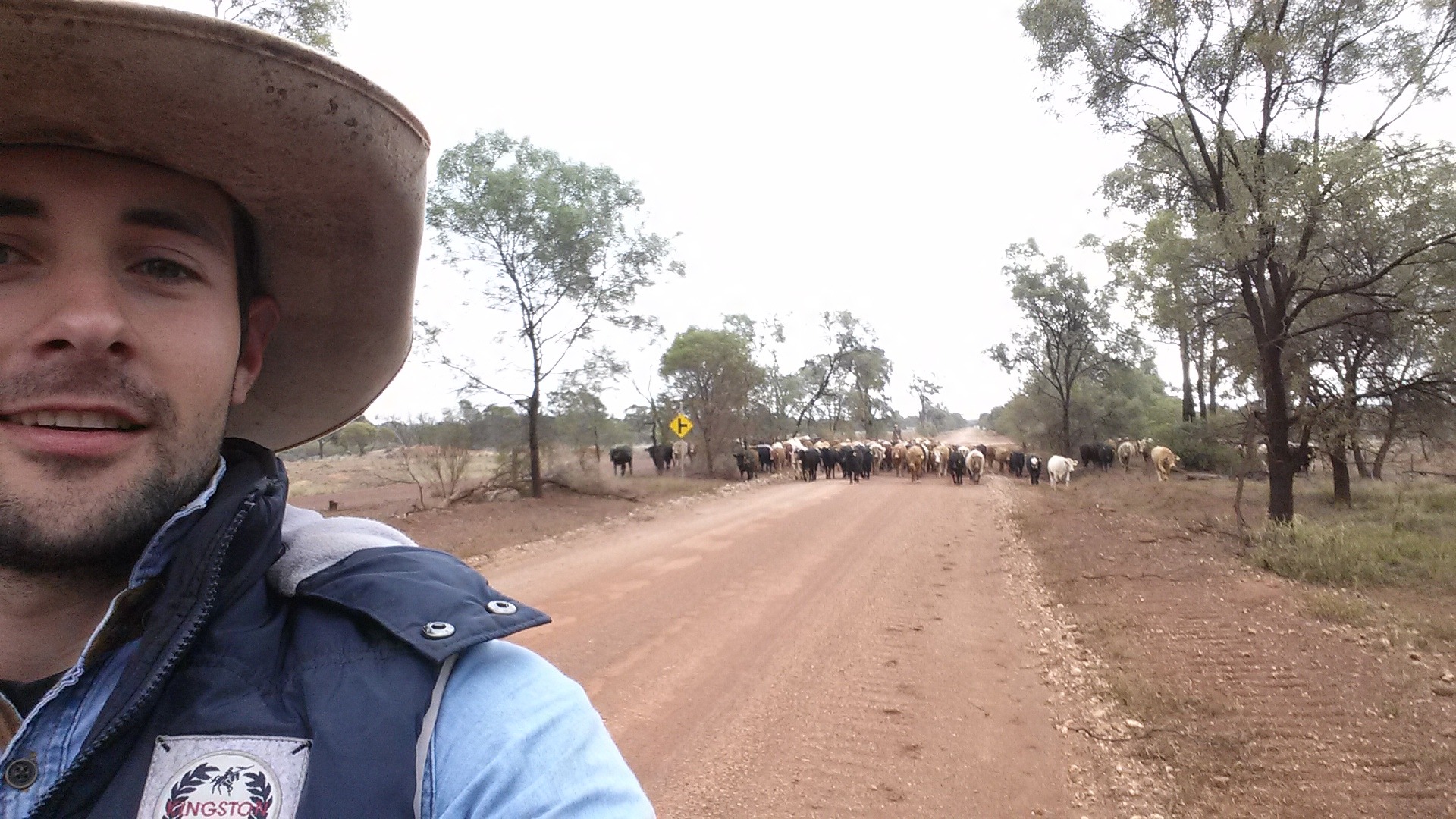 leonard-boerderijwerk-australie-paarden-trainen6_0