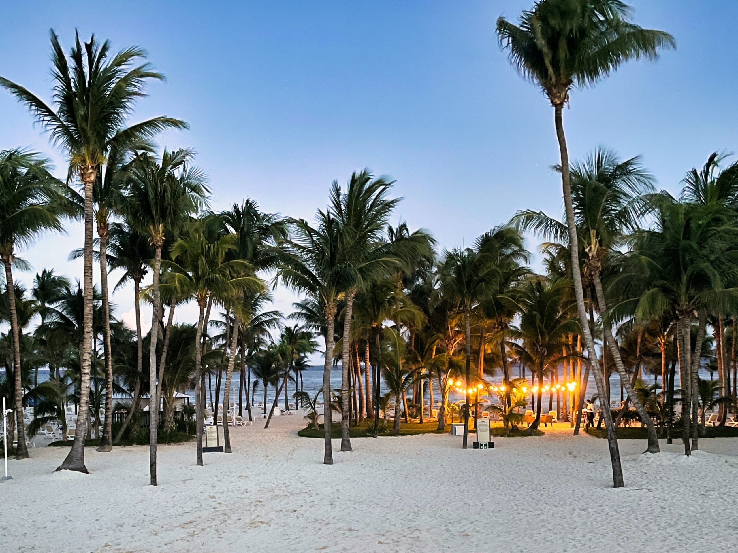 Taalreis in playa del carmen