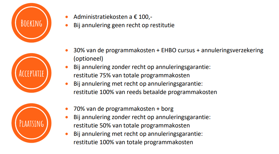 Au pair - betalingswijze programmakosten2