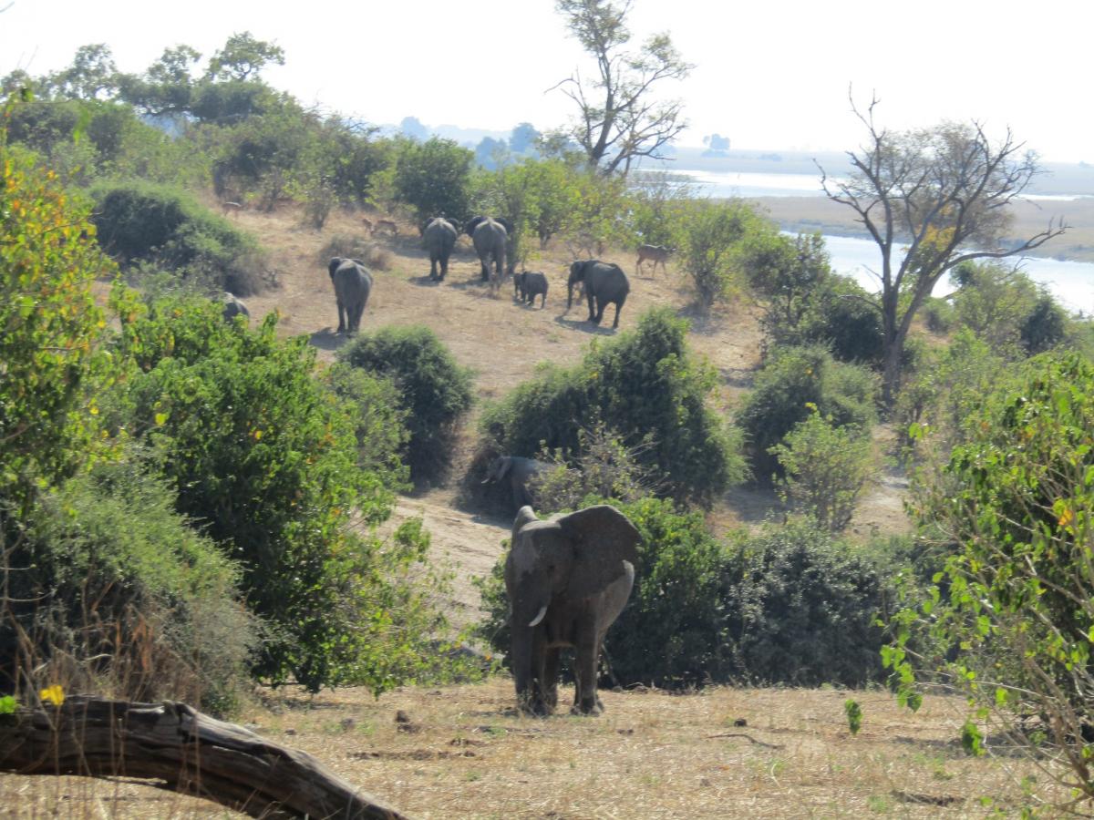 Familie-Klein-Wolterink-in-Zambia-4