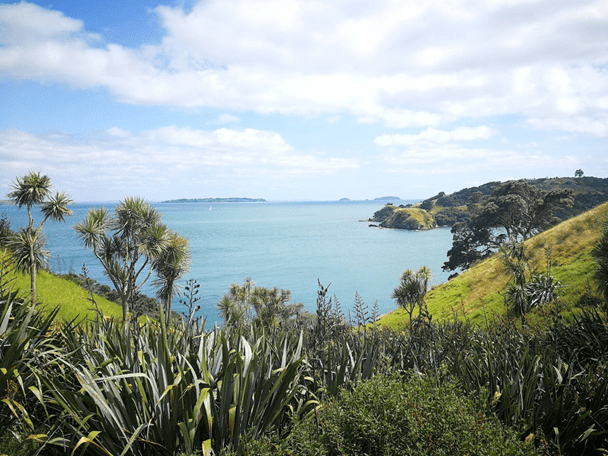 Imke ontdekt de prachtige natuur van Nieuw-Zeeland3