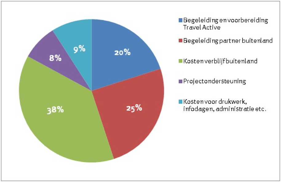 Vrijwilligerswerk - programmakosten verdeling