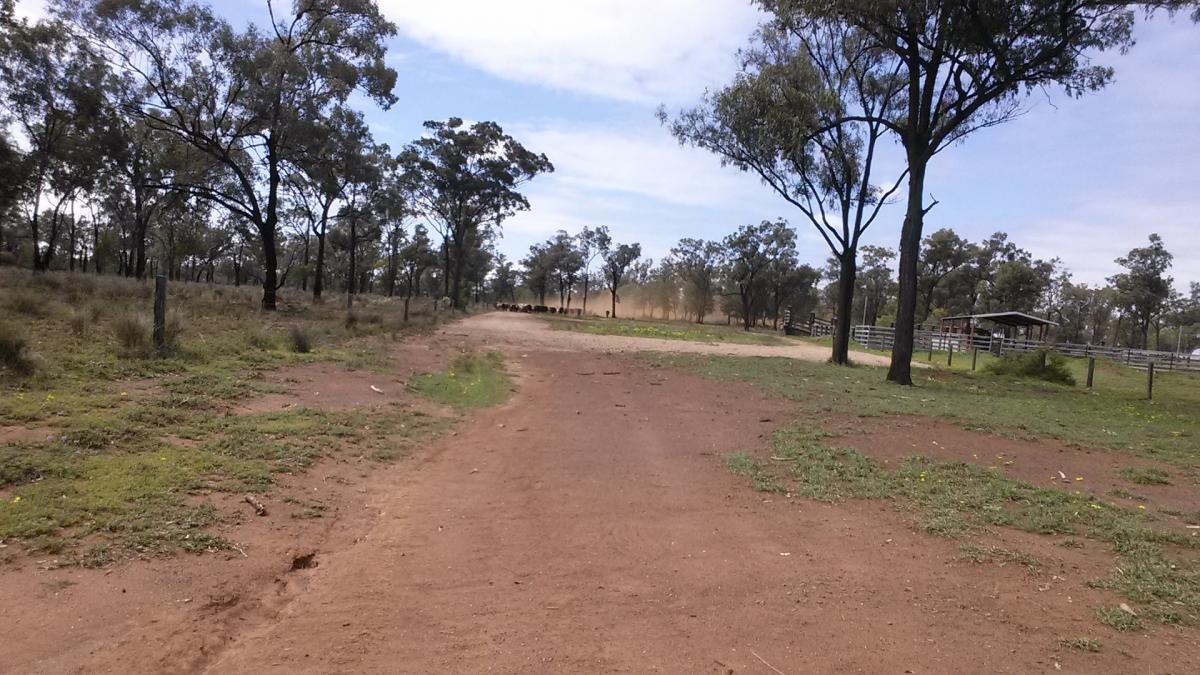 blog-leonard-boerderijwerk-in-australie5