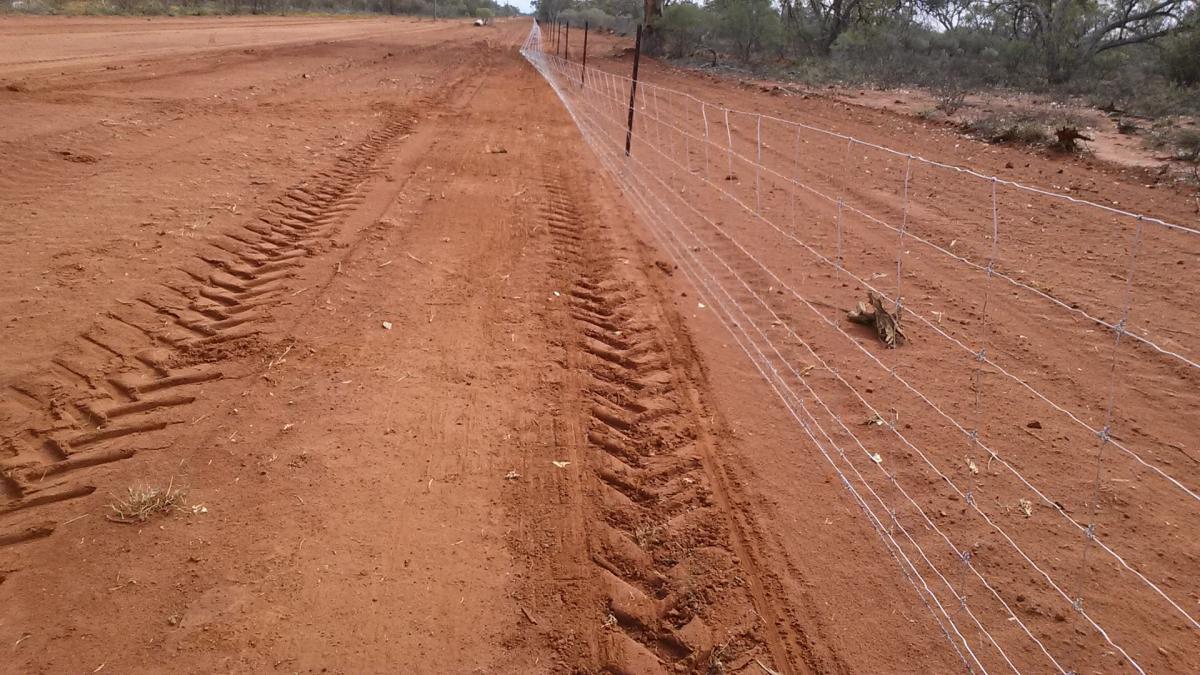 boerderijwerk-australie-leonard-werken-paarden-mijn-ding3