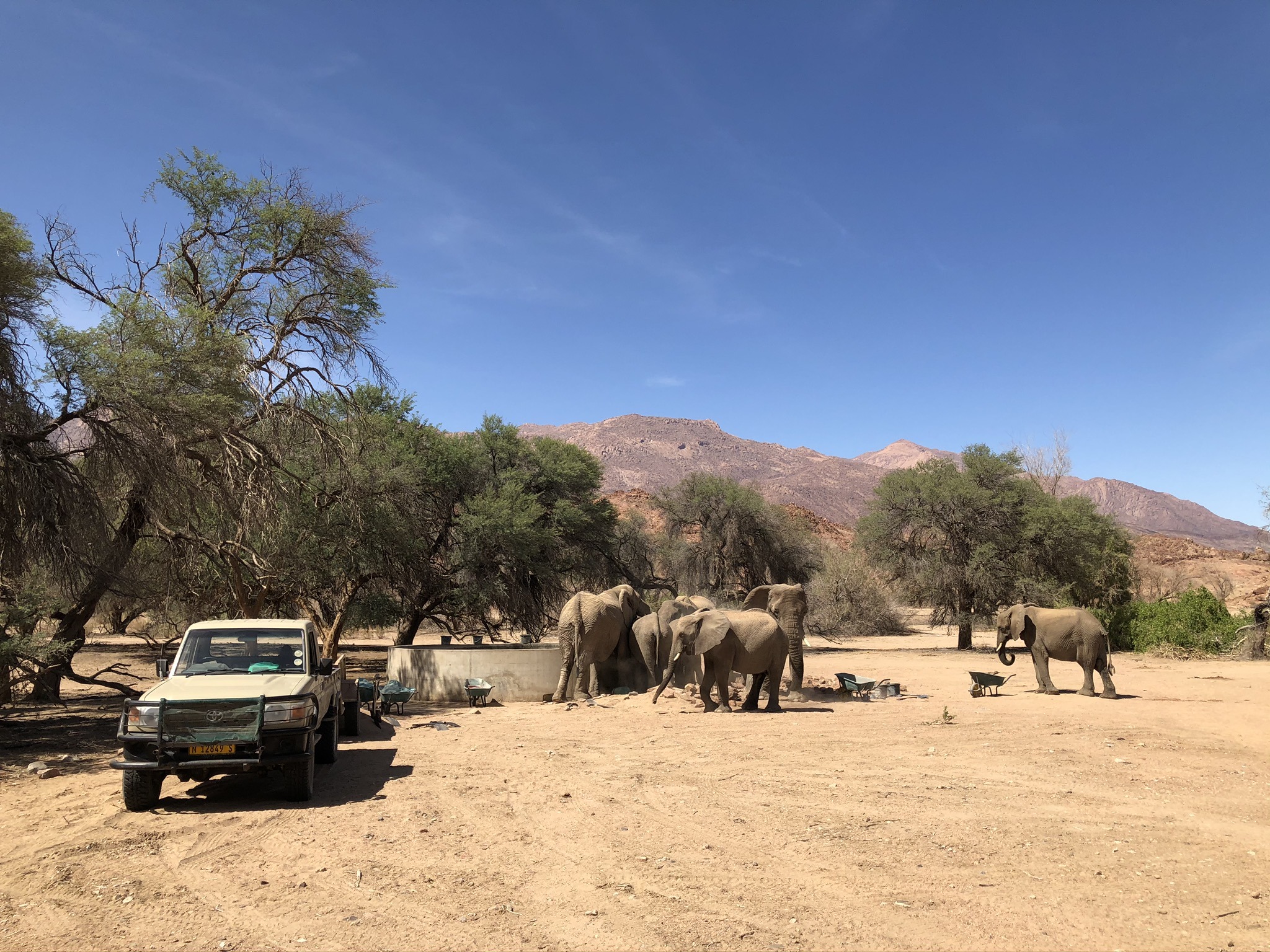 de-ervaringen-van-paulien-tijdens-het-desert-elephant-project2