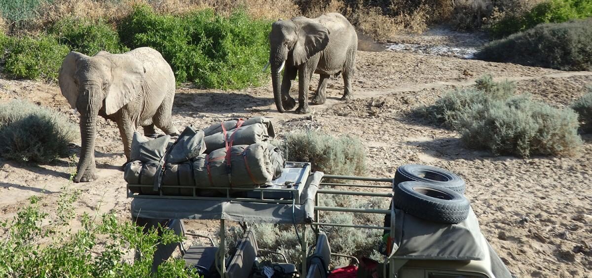 de-ervaringen-van-paulien-tijdens-het-desert-elephant-project4