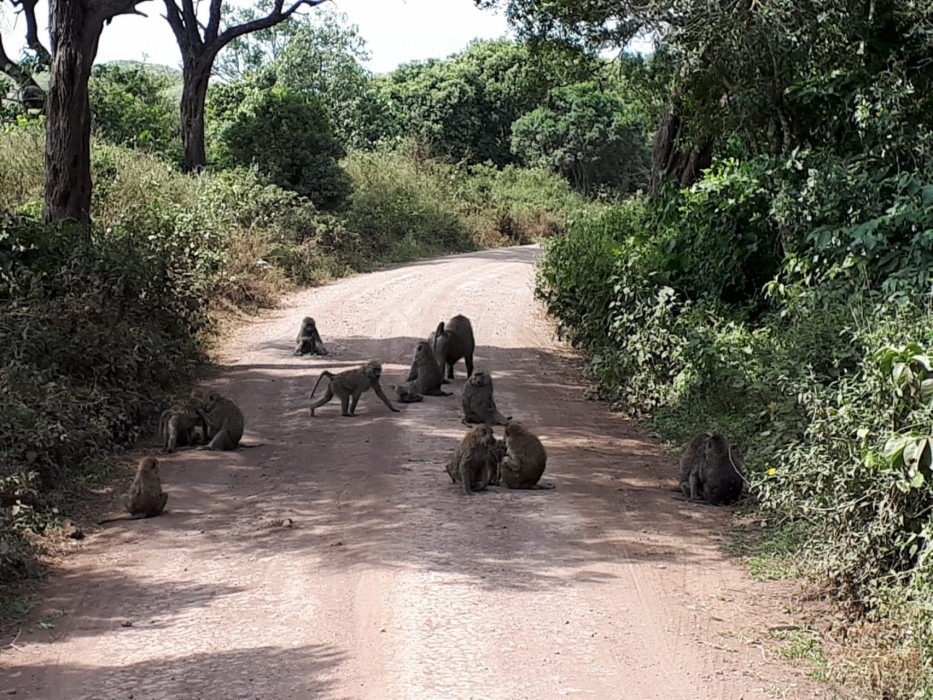 helen-en-celine-hebben-zich-4-weken-als-vrijwilliger-ingezet-een-ziekenhuis-tanzania-3