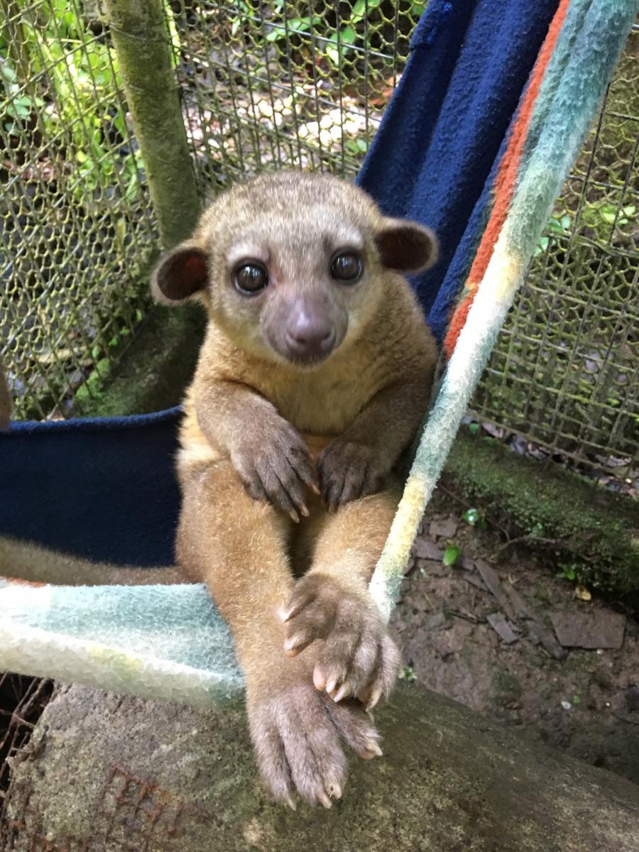 joyce-vertelt-over-het-wildlife-project-ecuador-6