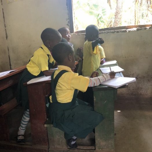 roos-vrijwilliger-tanzania-“het-mooi-om-te-zien-hoe-blij-kinderen-zijn-om-naar-school-te-gaan”-6