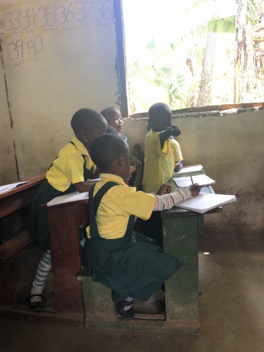 roos-vrijwilliger-tanzania-“het-mooi-om-te-zien-hoe-blij-kinderen-zijn-om-naar-school-te-gaan”-6 roos-vrijwilliger-tanzania-“het-mooi-om-te-zien-hoe-blij-kinderen-zijn-om-naar-school-te-gaan”-6