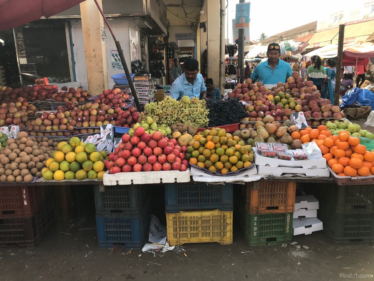 seranne-blikt-terug-op-haar-vrijwilligerswerkavontuur-india-2