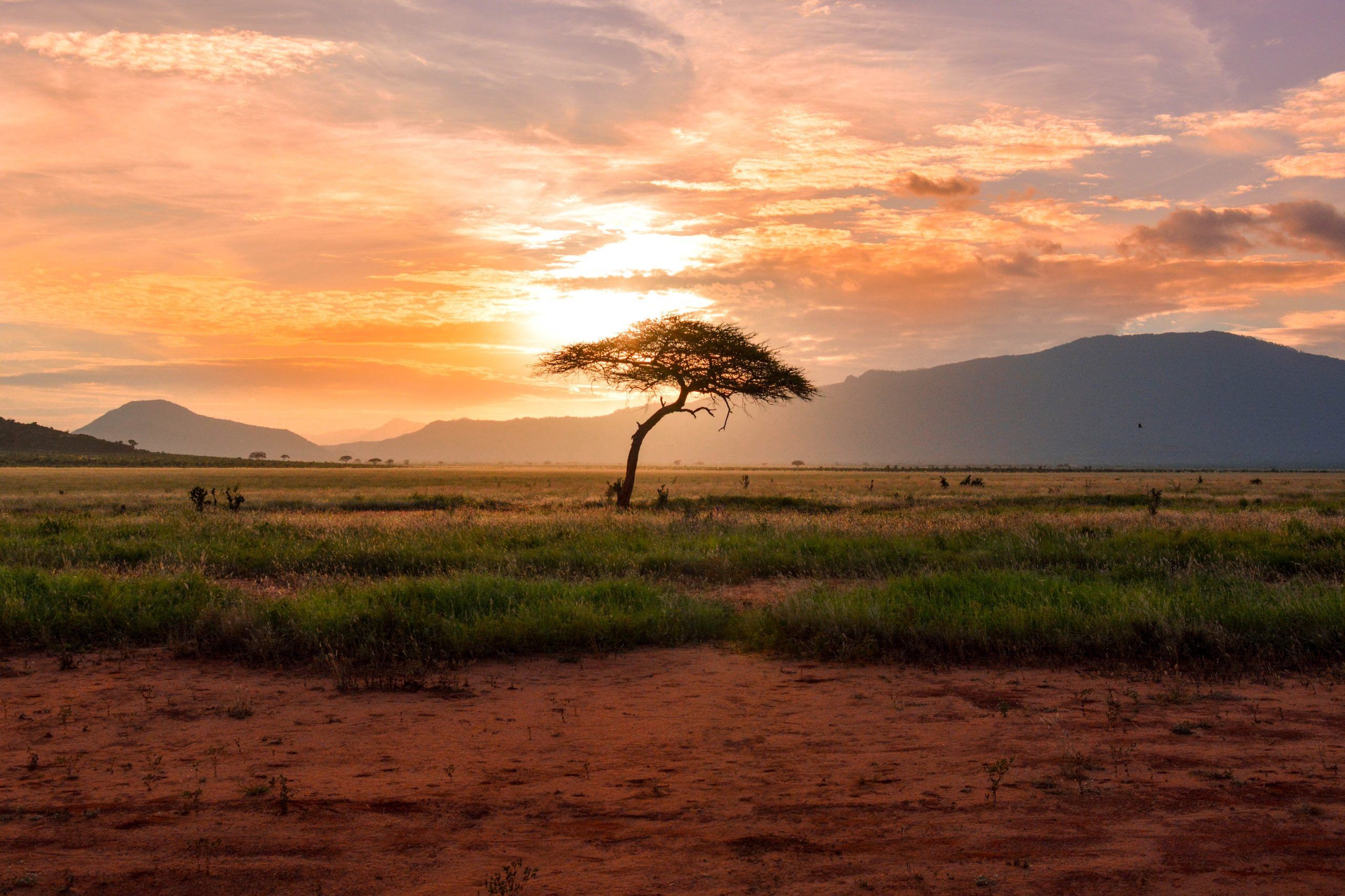 Combinatiereis Zuid-Afrika en Namibië